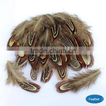 Wholesale 65-70cm Natural Ringneck Pheasant feathe for party decorating,