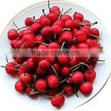 425g * 24 Tins canned cherry in syrup