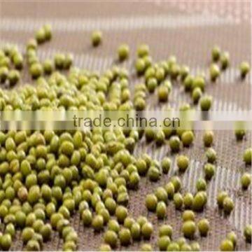 Food grade green mung beans(Heilongjiang)