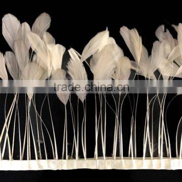 Stripped Rooster Feather Trim Ivory Coque Tails