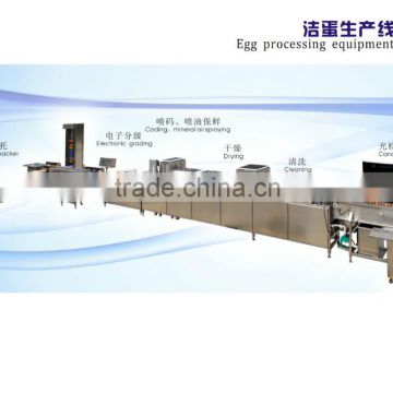 7500pcs/h egg grading packing machine for sale