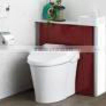 Western toilet Water-saving Japanese stylish toilet Shower toilet