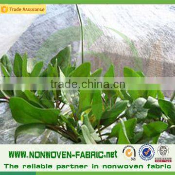 Agriculture Used Non Woven Fabric for Ground Cover photo-3