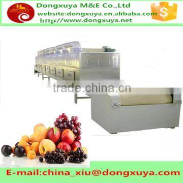 Tunnel continuous working microwave drying equipment for fruit