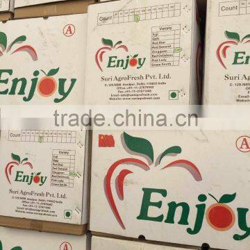 apples container in QINGDAO