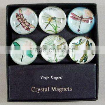 Wholesale 3d glass crystal fridge magnet with dragonfly for home decoration