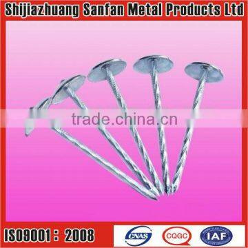 Sell Umbrella head galvanized Smooth shank roofing nail