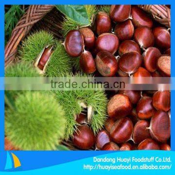 price of fresh raw chesnut 100% natural green