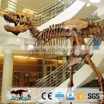 OA6169 Museum Use Dig Dinosaur Discovery Fossil