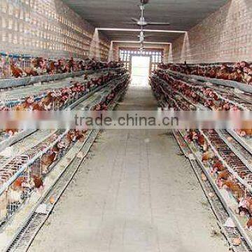 High Quality Galvanized Wire Mesh Layer Chicken Cage for Hens