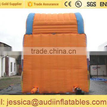 Inflatable Dolphin Slide Large for Sale photo-5