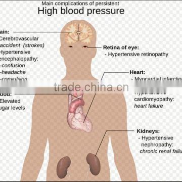 Hypertension plaster, Hypertension patch, Blood pressure-lowing