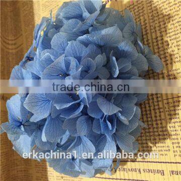 Preserved Flower Hydrangea Flower photo-5
