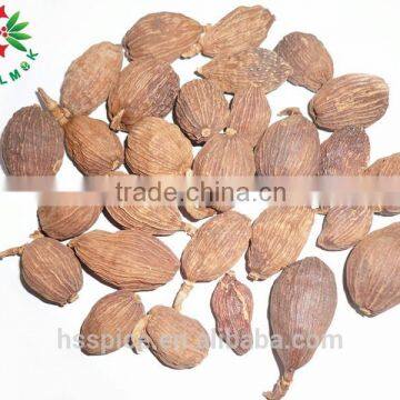 China Black Cardamom