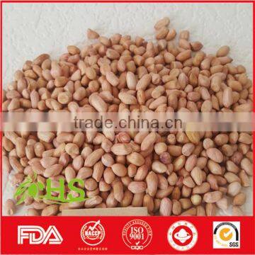 Fresh and new blanched peanut kernel