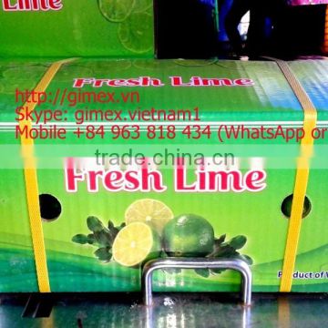 fresh lemon gimex 2015