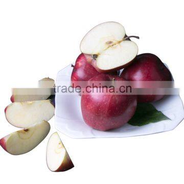 2016 New crop New season Huaniu apple Fresh apple China Gansu Tianshui Huaniu apple