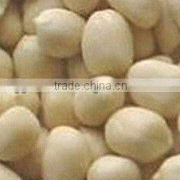 INDIAN EXPORTER BLANCHED PEANUT KERNEL 38/42