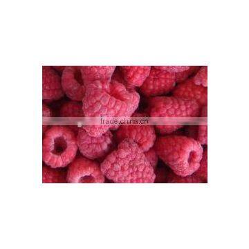 Frozen IQF Raspberry Price