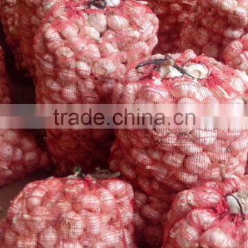 China Fresh Normal White Garlic Can Provide photo-4