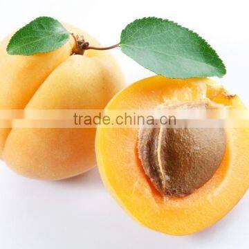 APRICOT SCENT FOR FRAGRANCES