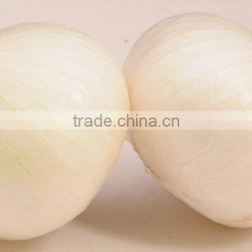 A Grade Indian White Onion Price photo-2