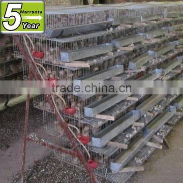 layer quail cages for kenya farms