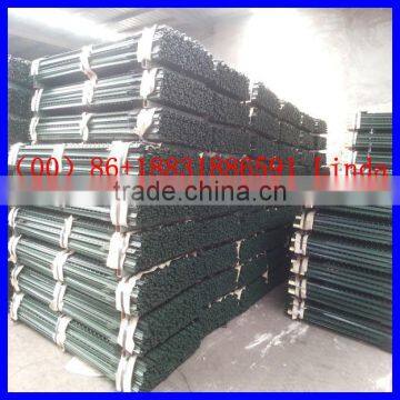 Post ( Factory & Exporter ) photo-3