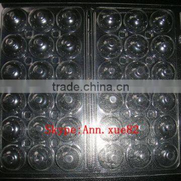 New Design Plastic Quail Egg Tray for Sale