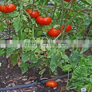 T tape drip line vegetable garden drip irrigation system