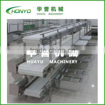 Two layer fish conveyor 12 people to work