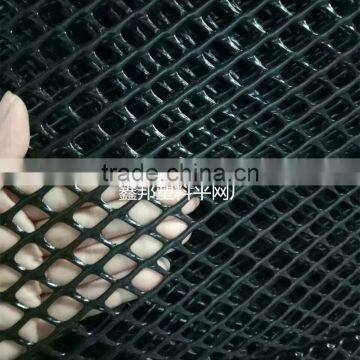 PE plastic mesh/Chicken mesh/Plastic hexagonal mesh