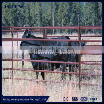 2016 High Quality 1.6*2.1m Used Corral Panels , Used Horse Fence Panels , Galvanized Livestock Metal Fence photo-6