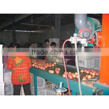 Fruit Selecting Machine/Fruit Pick Up Equipment photo-5