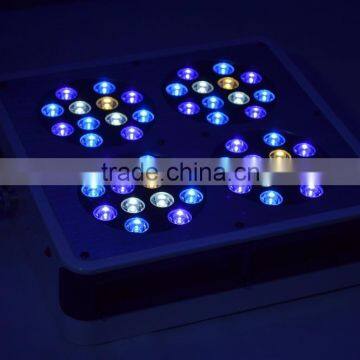 Hydroponic Grow Lights Apollo Led for Indooor Garden photo-2