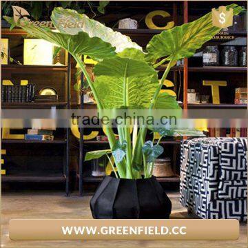 2017 Eco-friendly Gardening Planter Bag Grow Bag photo-5