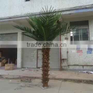 SJ12001204 Plastic palm tree/ big palm tree/home garding indoor palm tree