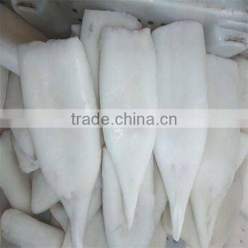 high quality frozen squid tube/seafood suppliers