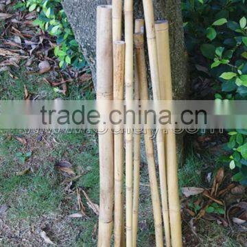 thick wall strong tonkin bamboo canes manufacturer