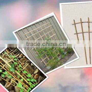 Manufacturer of Bamboo Cane Trellis Garden Bamboo Trellis for Planting photo-2