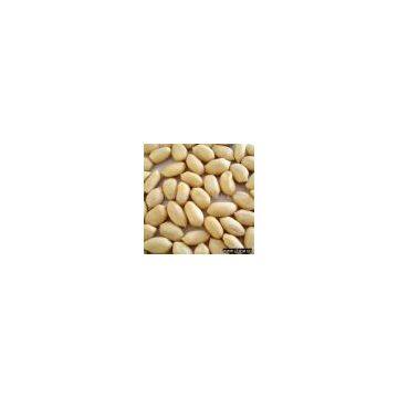 Sell Blanched Peanut Kernels All Sizes