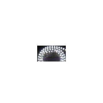 Clear PVC waterproof flexible LED Strip in white