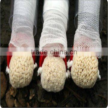 PVA yarn for fishing nets