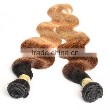 Body Wave 3 Tone Color Ombre Hair, 100% Natural Indian Human Hair Price List photo-6