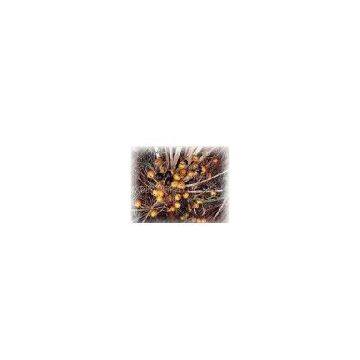 Saw Palmetto Fruit Extract Powder