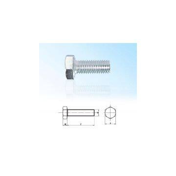 Hexagonal Head Bolt DIN933