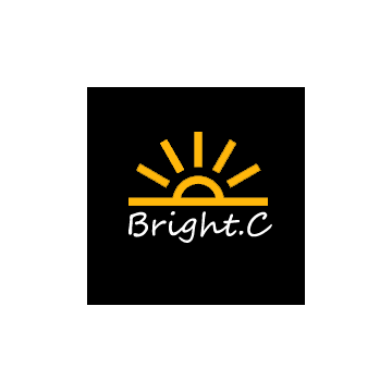 Guangdong Bright City Digital Accessories Co., Ltd.