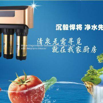 Kitchen RO Machine Household Water Purifier photo-3