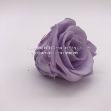 Wholesale3-4cm Elegant Real Touch Preserved Rose Flower photo-3
