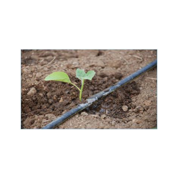 Plastic Film Greenhouse for Israel with Drip Irrigation